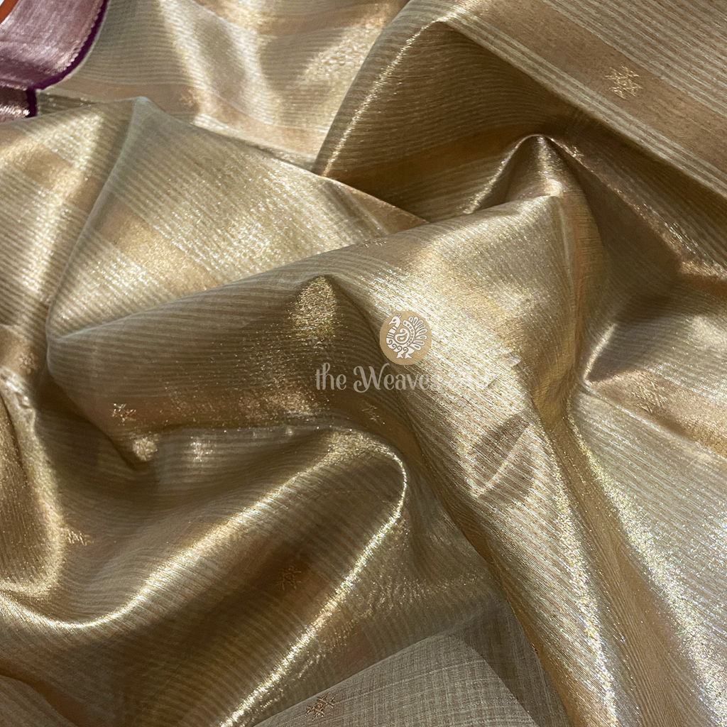 Organza Kanchipuram Tissue Silk Saree