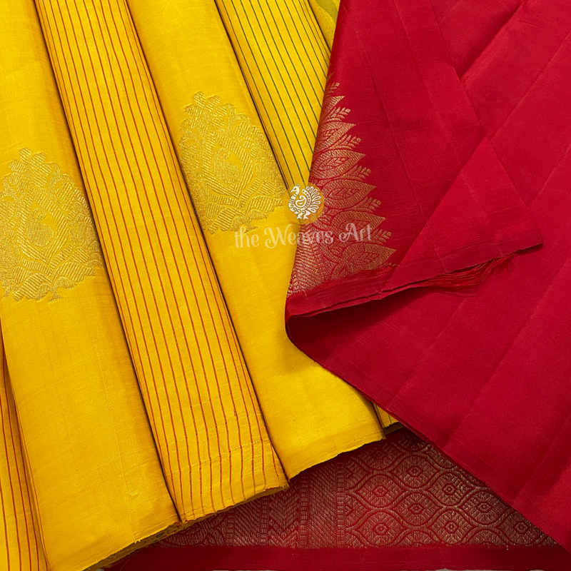 Borderless Kanjivaram Pure Silk Saree