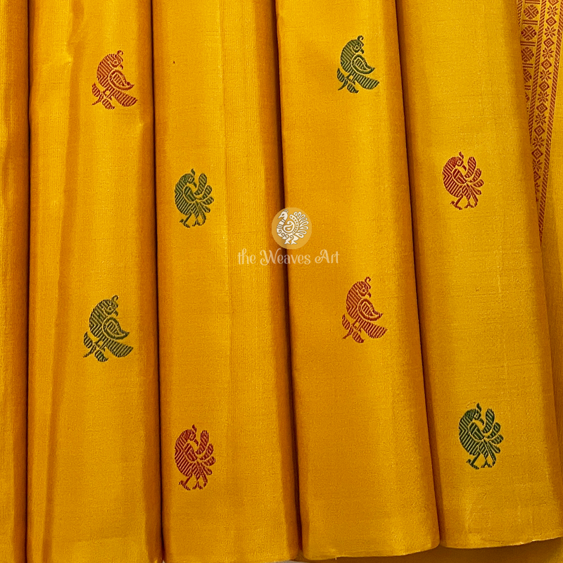 Borderless Kanjivaram Pure silk sarees