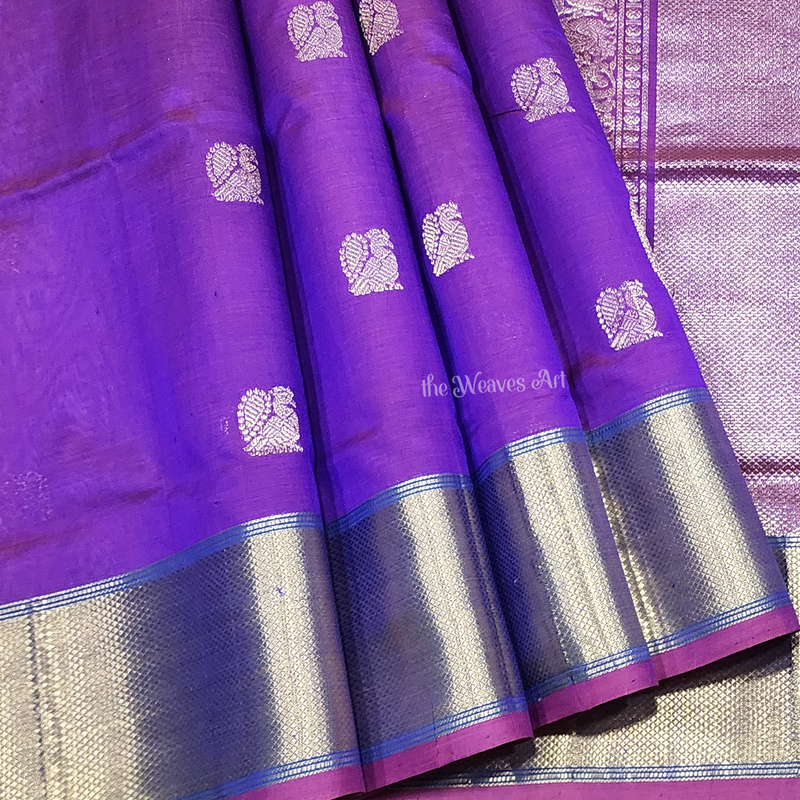 Gatti Border Kanchi Sarees