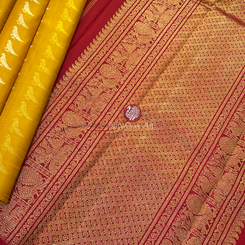 Golden Yellow Borerless Kanchi Pattu Saree