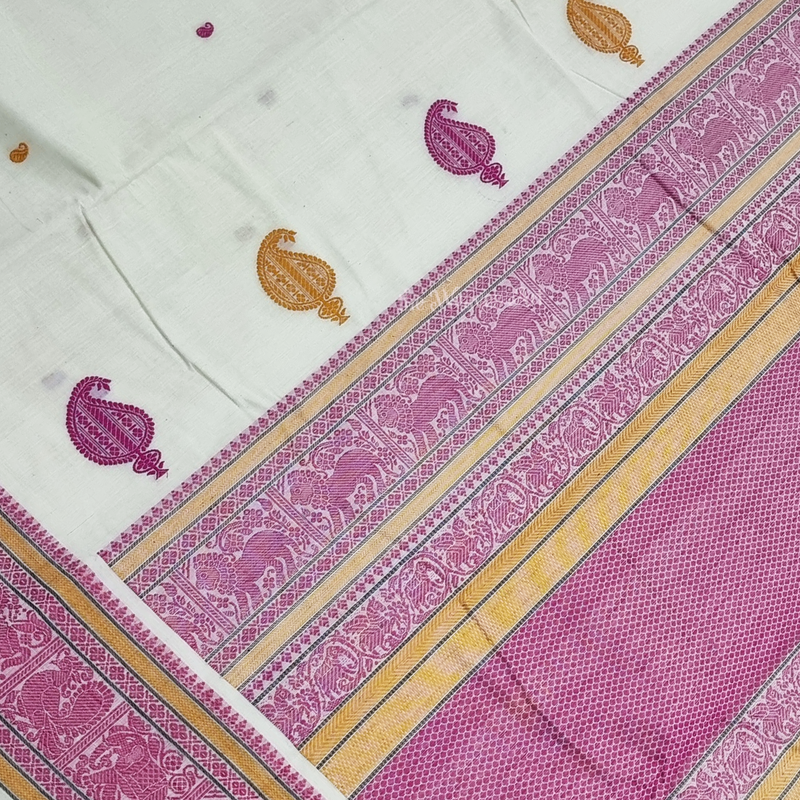 Handloom Kanchi Cotton Saree