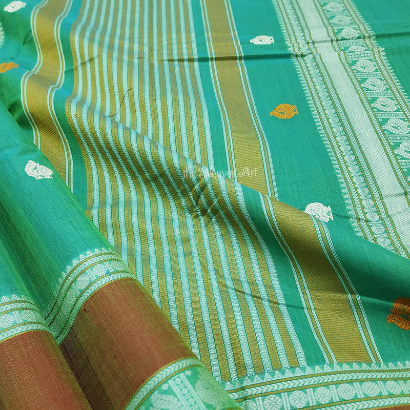 Handloom Kanchi cotton Saree