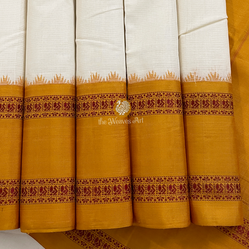 Kanchi Cotton Saree with Silk Borders and Pallu
