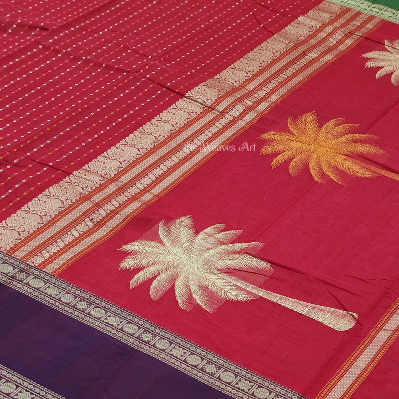 Kanchi Cotton Saree with Tree Pallu