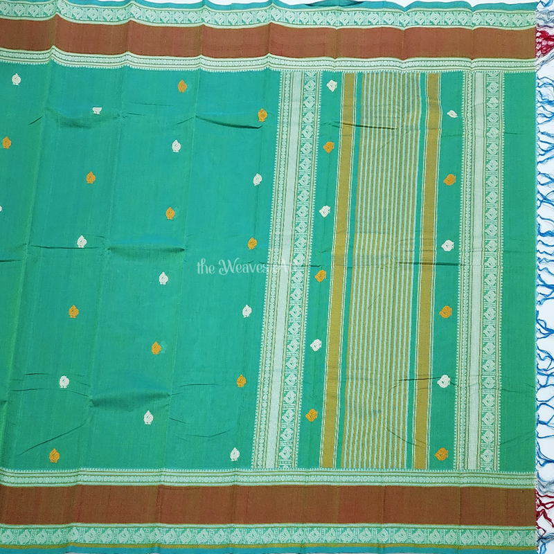 Kanchi Cotton handloom saree