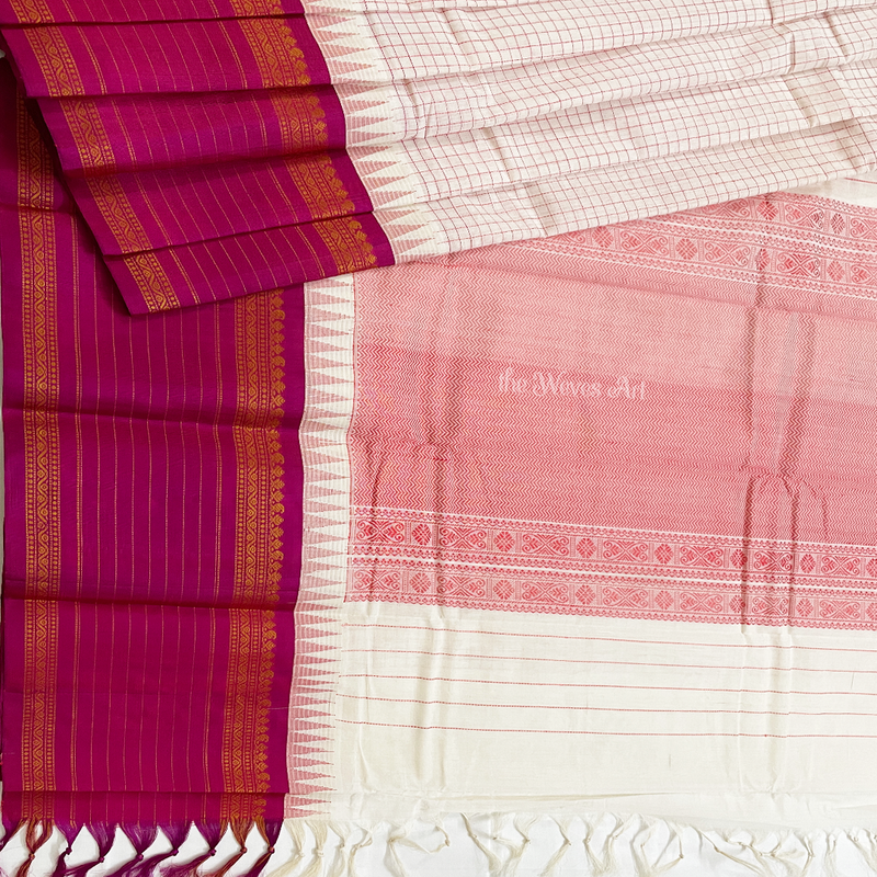 Kanchi Cotton with Silk Borders Saree