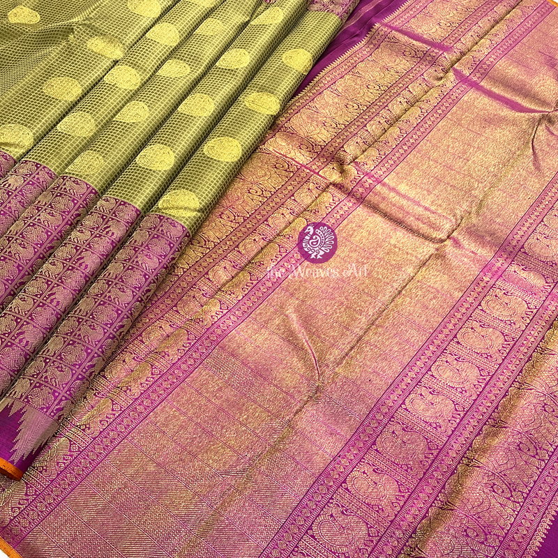 Kanchipuram Big Border Sarees