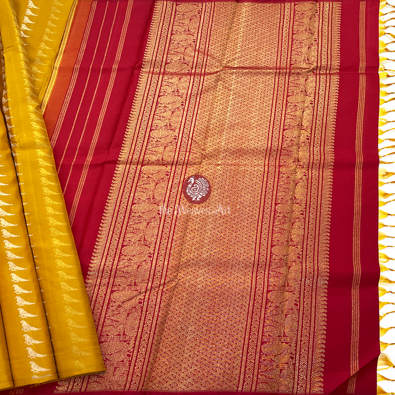 Kanchipuram No Border Sarees