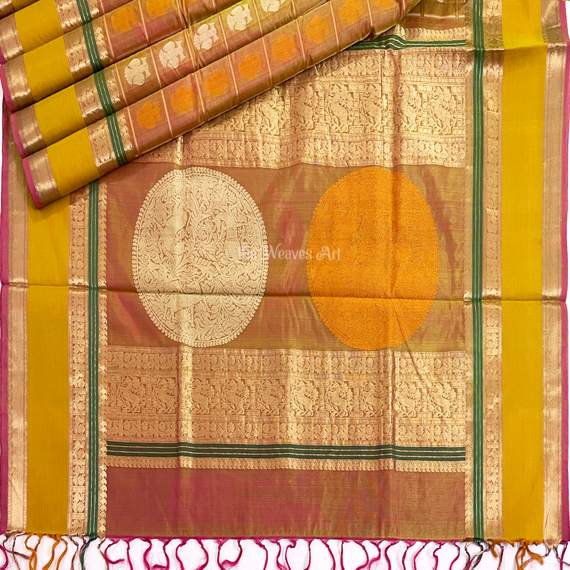 Kanchipuram Silk Cotton Sarees