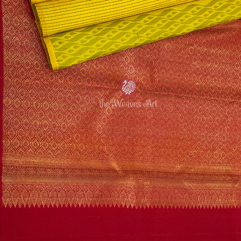 Kanjivaram Borderless Silk Saree