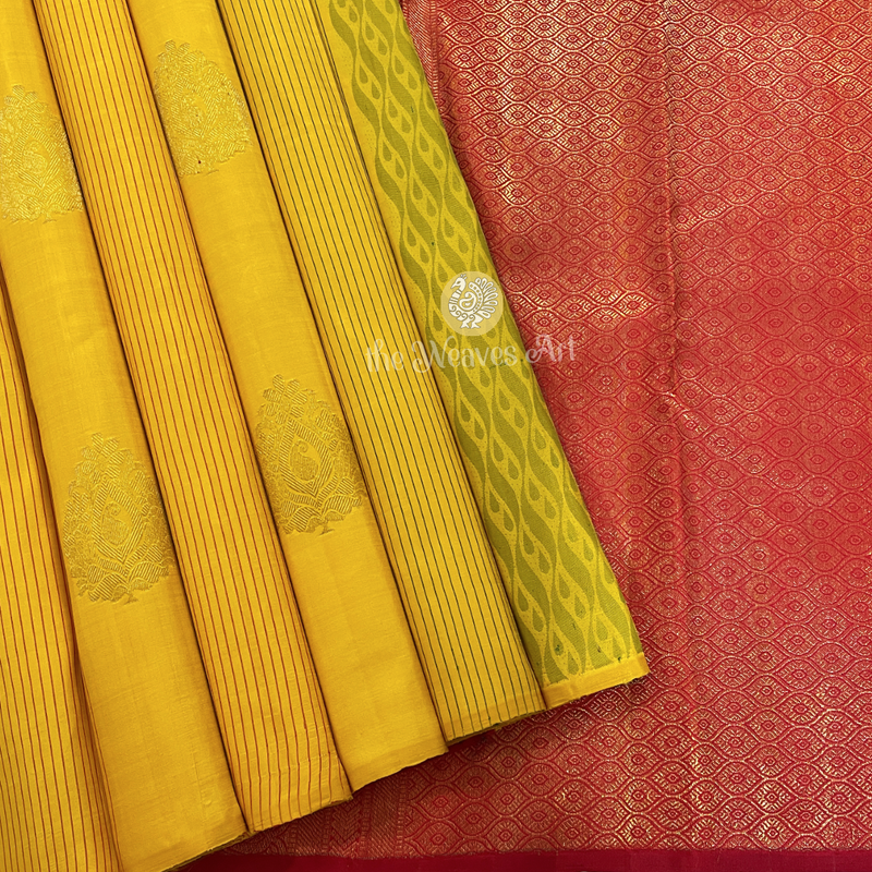 Mango Yellow Borderless Kanchipuram Silk Saree