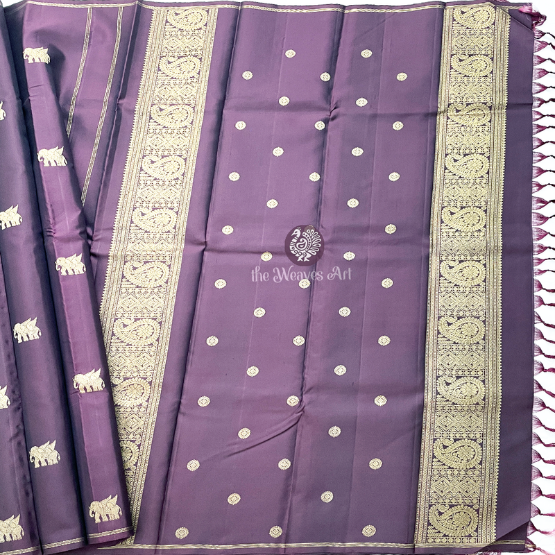 No Border Kanchi Pattu Sarees