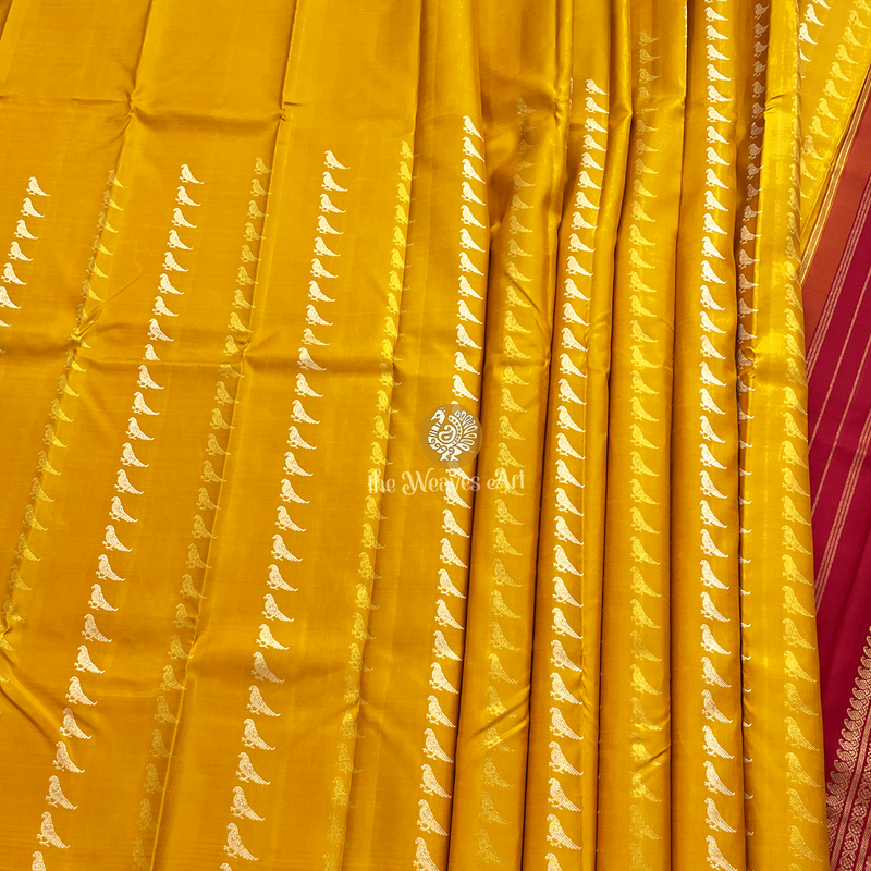 No Border Kanjivaram Sarees