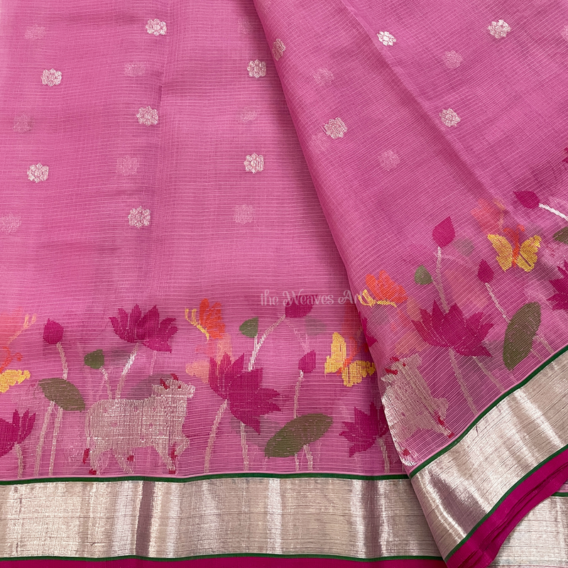 Pichwai Lotus and Cow Saree