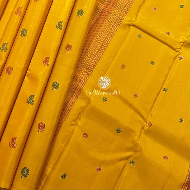 Pure Borderless Kanjivaram saree