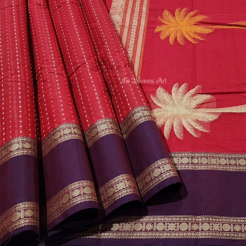 Retta Pettu Border Kanchi Cotton Saree