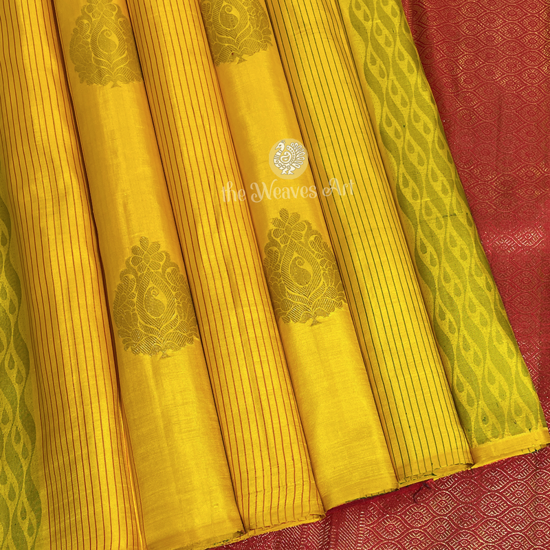 Yellow Red Borderless Kanjivaram Silk Saree