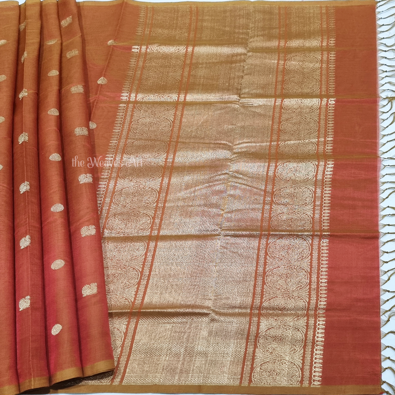 Borderless Kanchi Silk Cotton Saree