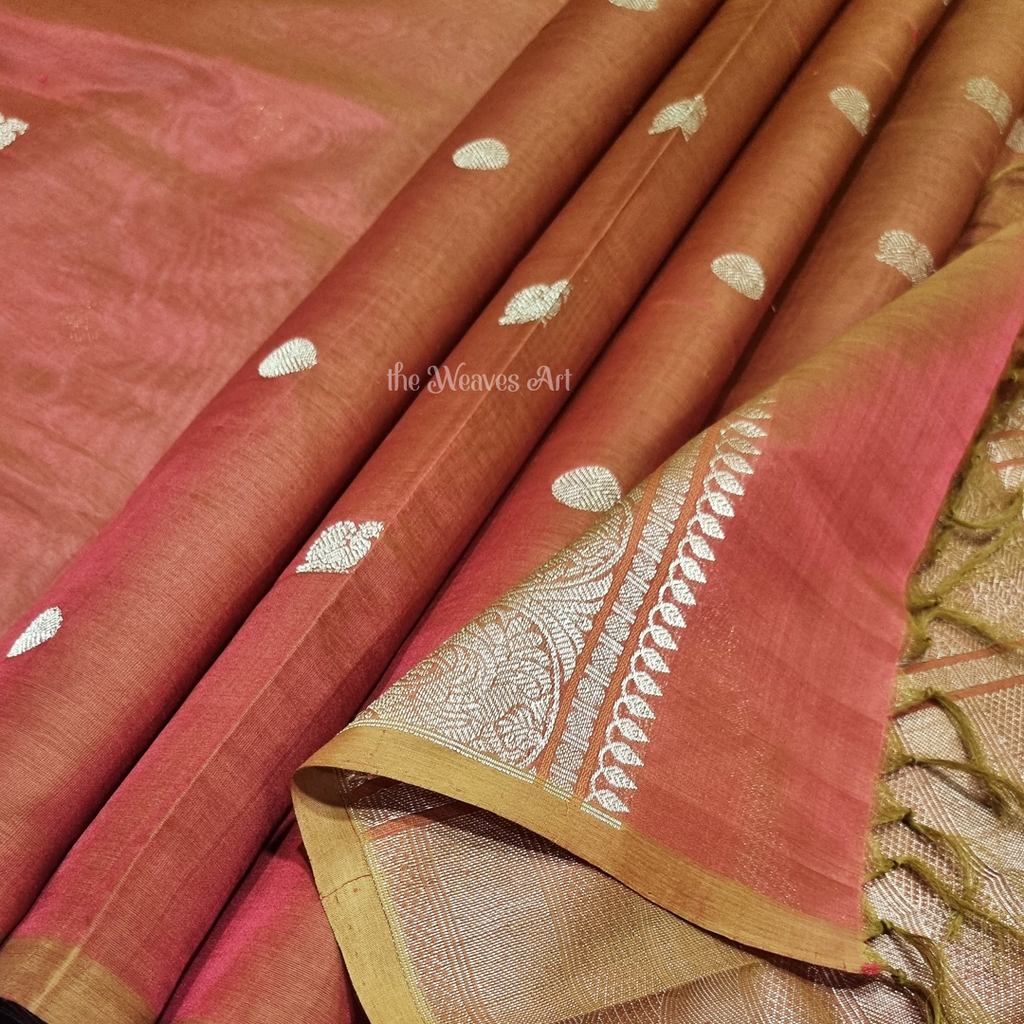 Borderless Kanchipuram Silk Cotton Saree