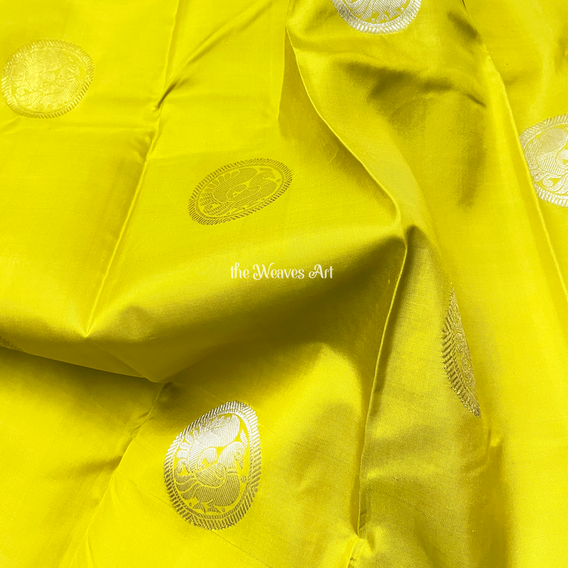 Borderless pattu Sarees