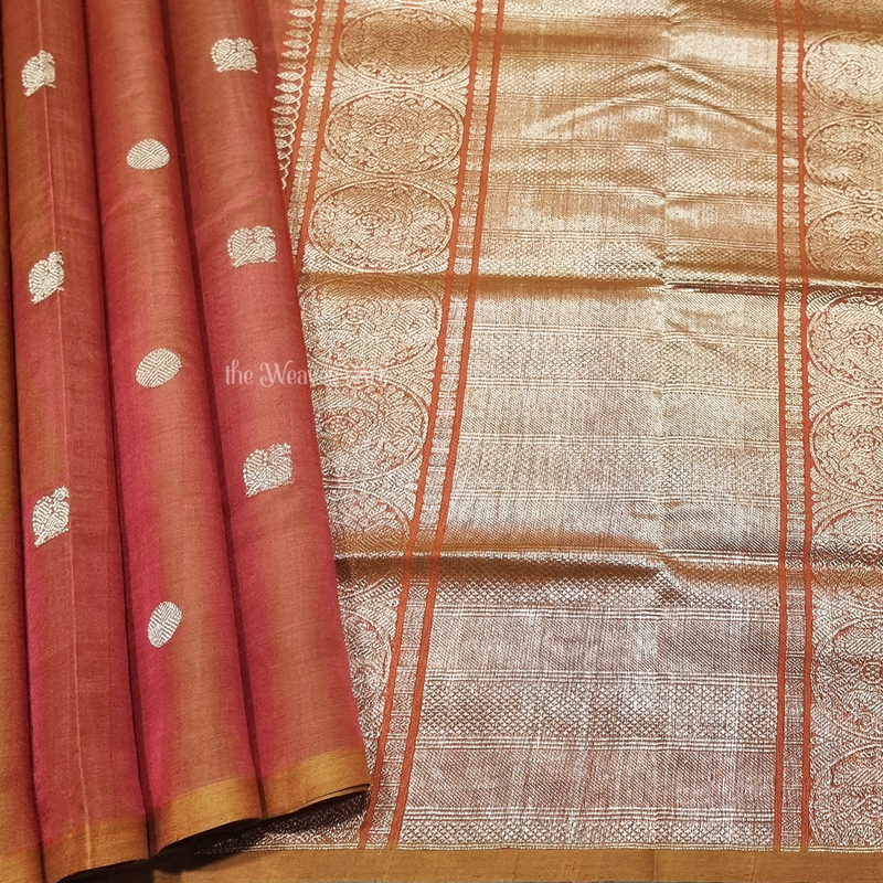 Kanchi Silk Cotton Saree