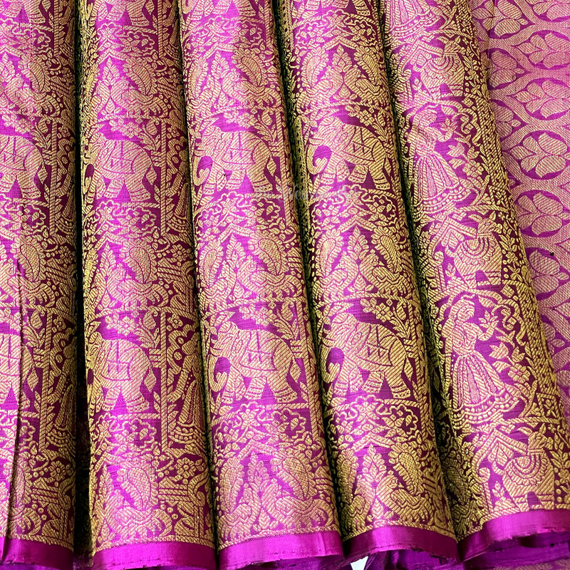 Chitramala - Half and Half handwoven Kanchipuram Silk Saree