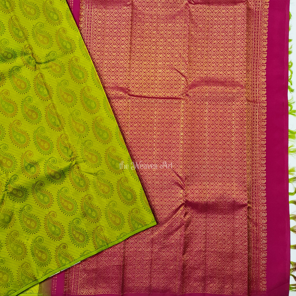 Green Pink Borderless Kanchipuram Silk Saree